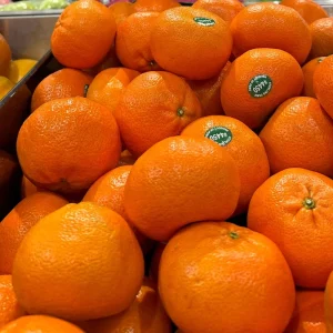 California Mandarin Seedling Live Plant – 5-12 inch Tall – Grown from Seed - Image 2