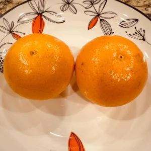 California Mandarin Seedling Live Plant – 5-12 inch Tall – Grown from Seed - Image 3
