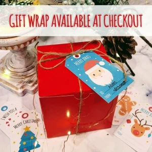 Christmas Cactus Succulent Arrangement - Live Plant Gift Box, 2 inch Ceramic Pot - Image 3
