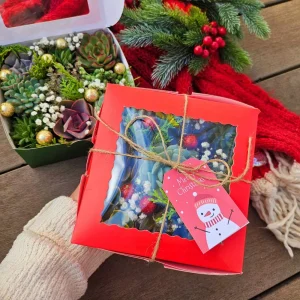 Christmas Succulent Gift Box - 9 Live 2 inch Succulents - Holiday Decor - Image 3