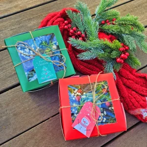 Christmas Succulent Gift Box - 9 Live 2-inch Succulent Arrangement - Image 5