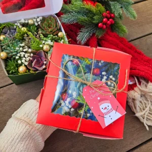 Christmas Succulent Gift Box - 9 Live 2-inch Succulent Arrangement - Image 6