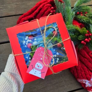 Christmas Succulent Gift Box - 9 Live 2 inch Succulents - Holiday Decor - Image 8