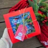 Christmas Succulent Gift Box - 9 Live 2-inch Succulent Arrangement - Image 1