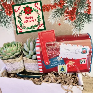 Christmas Succulent Gift Box - Two 2