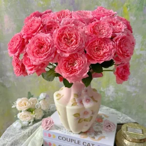 Corail Gelee Rose Live Plant - Continuous Blooms, Heat & Disease Resistant, 150-180 cm Tall - Image 1