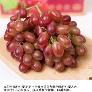 Crimson Seedless Grape Vine – Bare Root Plant – Red Table Grape - Image 5