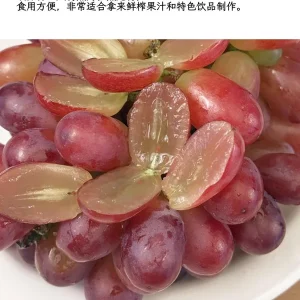 Crimson Seedless Grape Vine – Bare Root Plant – Red Table Grape - Image 6