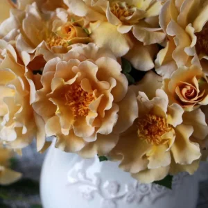 Eventail d'or Rose Live Plant - Tea/Coffee Color, 8 cm Flowers - Image 3