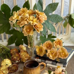 Eventail d'or Rose Live Plant - Tea/Coffee Color, 8 cm Flowers - Image 5