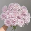 Fuyue Rose Live Plant - Pink-Purple Vintage Bloom, 110 cm Tall - Image 1