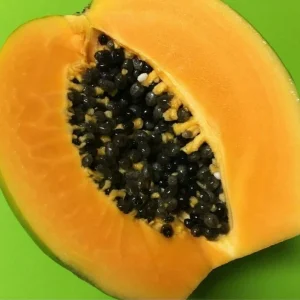 Gold Yellow Kamiya Papaya Seeds - 50 Count - Tropical Fruit Tree Seeds - Image 2