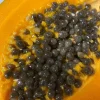 Gold Yellow Kamiya Papaya Seeds - 50 Count - Tropical Fruit Tree Seeds - Image 1