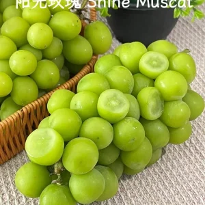 Grafted Grape Vine Seedlings - Live Fruit Plant for Backyard Garden, 1 Plant - Image 3