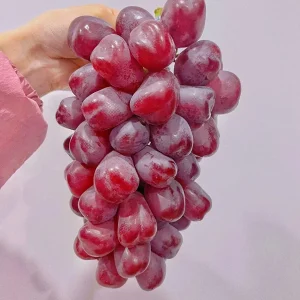 Grafted Romantic Beauty Grape Vine Tree - Red Seedless Table Grape Bare Root Plant - Image 5