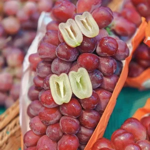 Grafted Romantic Beauty Grape Vine Tree - Red Seedless Table Grape Bare Root Plant - Image 1