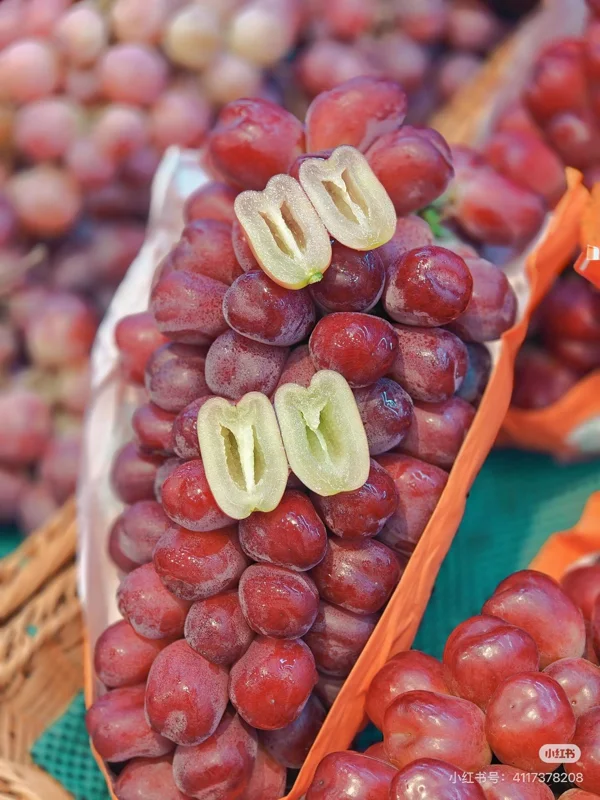 Grafted Romantic Beauty Grape Vine Tree - Red Seedless Table Grape Bare Root Plant - Image 1