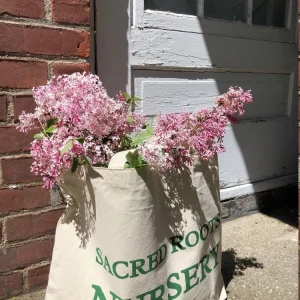 Heavy Canvas Tote Bag - Garden & Everyday Use - 20"W x 15"H x 5"D - Image 2