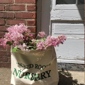 Heavy Canvas Tote Bag - Garden & Everyday Use - 20
