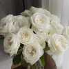 Jeanne Moreau White Rose Live Plant – Very Double, Strong Fragrance - Image 1