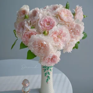 Jia Shu Rose Live Plant – Pink to White Repeat Blooming, 80-120 cm Tall - Image 3