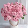 Julieta Rose Live Plant – Pink Double Bloom Repeat Flowering – 8-10 cm - Image 1