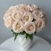 Kaoruno Rose Live Plant – Creamy Yellow Double Blooms, 130 cm Tall - Image 1