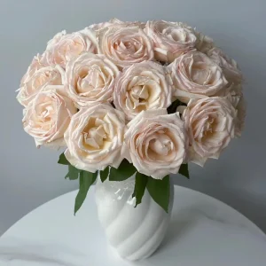 Kaoruno Rose Live Plant – Creamy Yellow Double Blooms, 130 cm Tall - Image 1