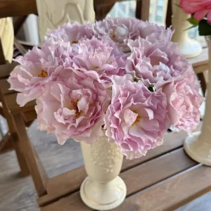 Luningxiang Rose Live Plant - Pink Double Petal Fragrant Rose 80-120 cm - Image 2