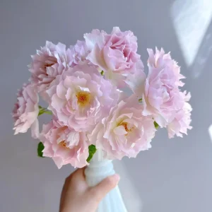 Luningxiang Rose Live Plant - Pink Double Petal Fragrant Rose 80-120 cm - Image 4
