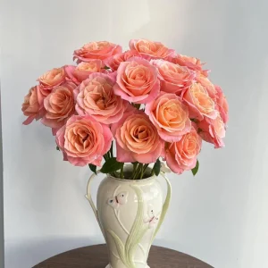 Miss Piggy Rose Live Plant – Yellow-to-Pink Gradient, Cupped Petals, 8 cm Flowers – Cut Flower Variety - Image 2