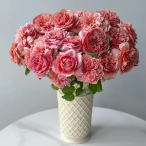 Moulin de la Galette Rose Live Plant - Fragrant Orange/Pink Double Blooms - 150-250 cm Tall - Image 2