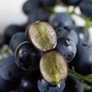 Muscat Hamburg Grape Vine Tree - Bare Root - Black Table Grape - Sweet & Aromatic - Image 2
