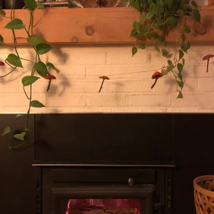 Mushroom Garland - Handmade Natural Material Decor - 7ft Total Length - Image 3
