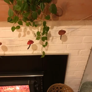 Mushroom Garland - Handmade Natural Material Decor - 7ft Total Length - Image 4