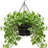 N'Joy Pothos Live Plant – Variegated Houseplant – 4-inch Pot – Indoor Vine - Image 1