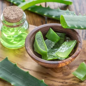Organic Aloe Vera Live Plant – Medicinal Succulent Starter – 4-8” Tall in 2.5” Pot - Image 5