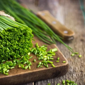 Organic Chives Live Starter Plant - Culinary Herb, 2.5x3.5in Pot - Image 3
