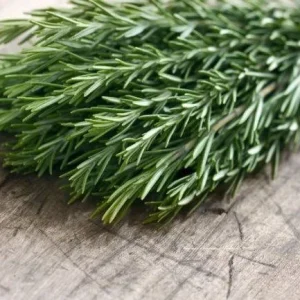 Organic Tuscan Blue Rosemary Live Plant – Herb – 2.5"x3.5" Pot – Outdoor - Image 2