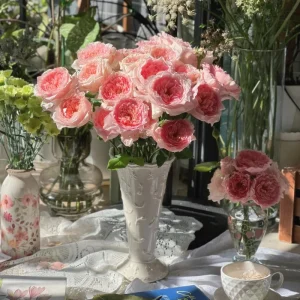 Pink Rose Flow Live Plant - Double Petal Rose, 80cm Tall, US Seller - Image 4