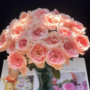 Pink Rose Flow Live Plant - Double Petal Rose, 80cm Tall, US Seller - Image 5