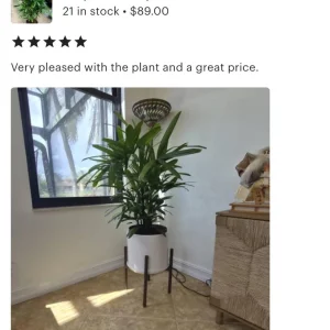 - Image 3