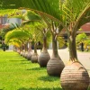 - Image 1