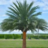 - Image 1