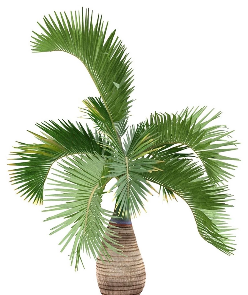 - Image 8