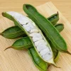 - Image 1