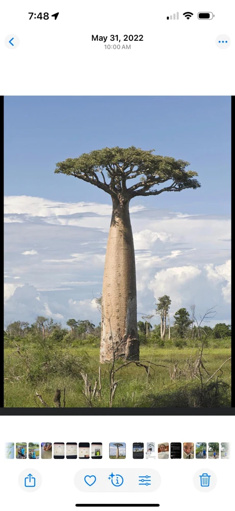 - Image 1