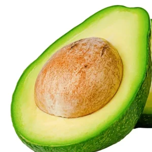 Rare Cold Hardy Black Avocado 'Brazos Belle' Seeds - 2 Pack - Image 5
