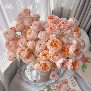 Rose Chance Pom US Seller 苹果气运/苏琪公主 - Image 3