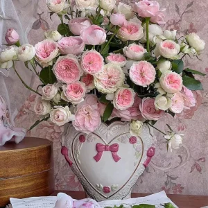 Rose Pompon Veranda Live Plant - Cream & Pink Patio Rose, 16-20